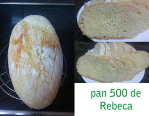 pan500_rebeca