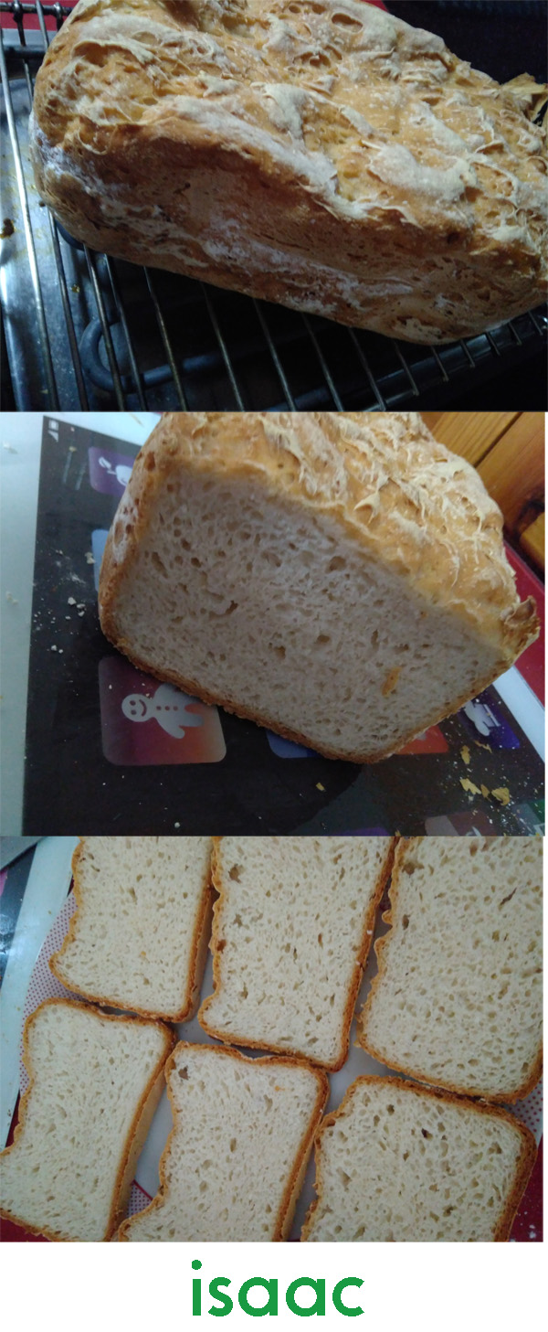 Las recetas de Glutoniana – Pan de molde clásico sin gluten (panificadora  Moulinex Home Bread Baguette)